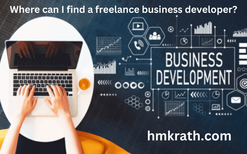 Where can I find a freelance business developer