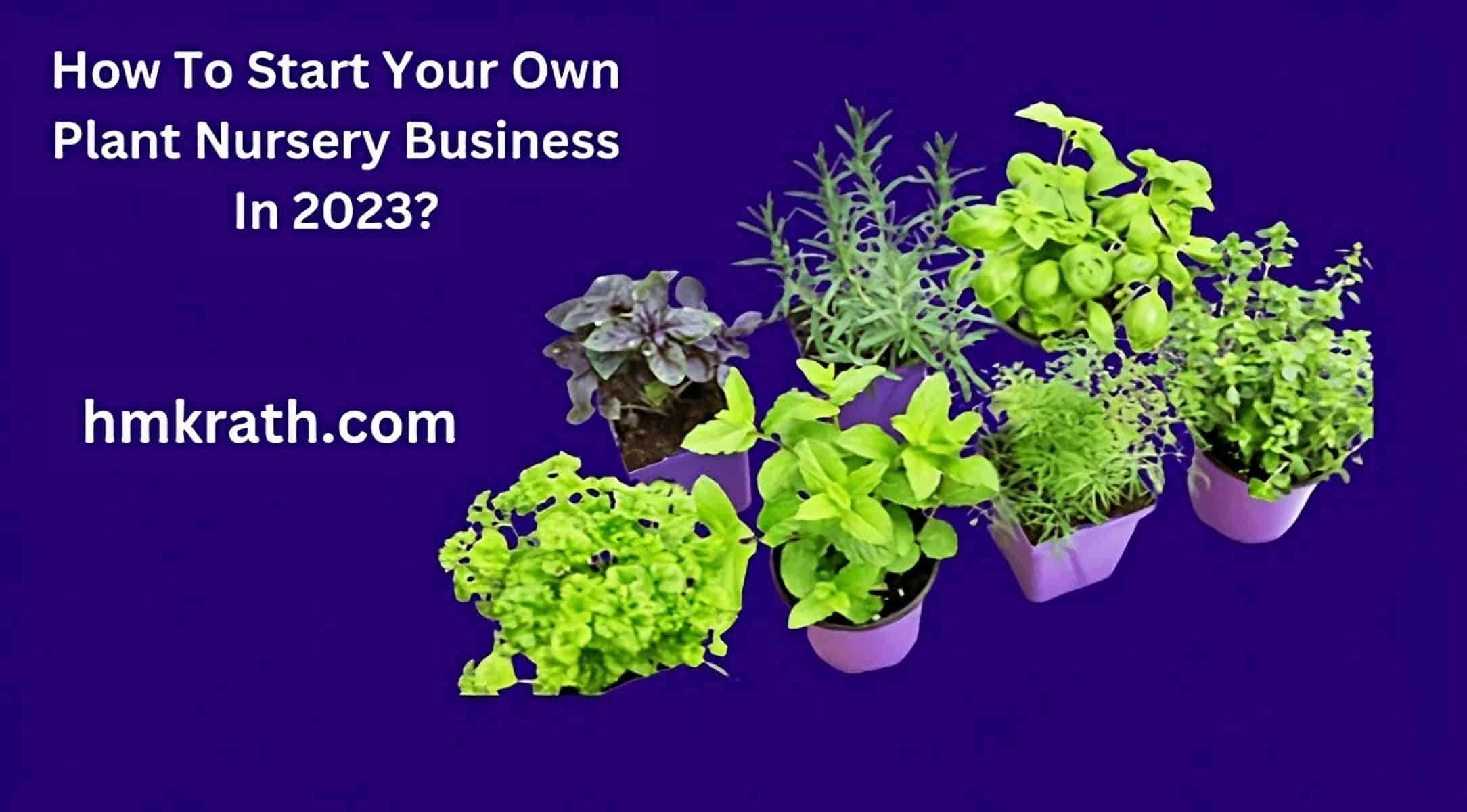 How To Start Your Own Plant Nursery Business In 2023