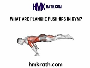 What are Planche Push-Ups In Gym?